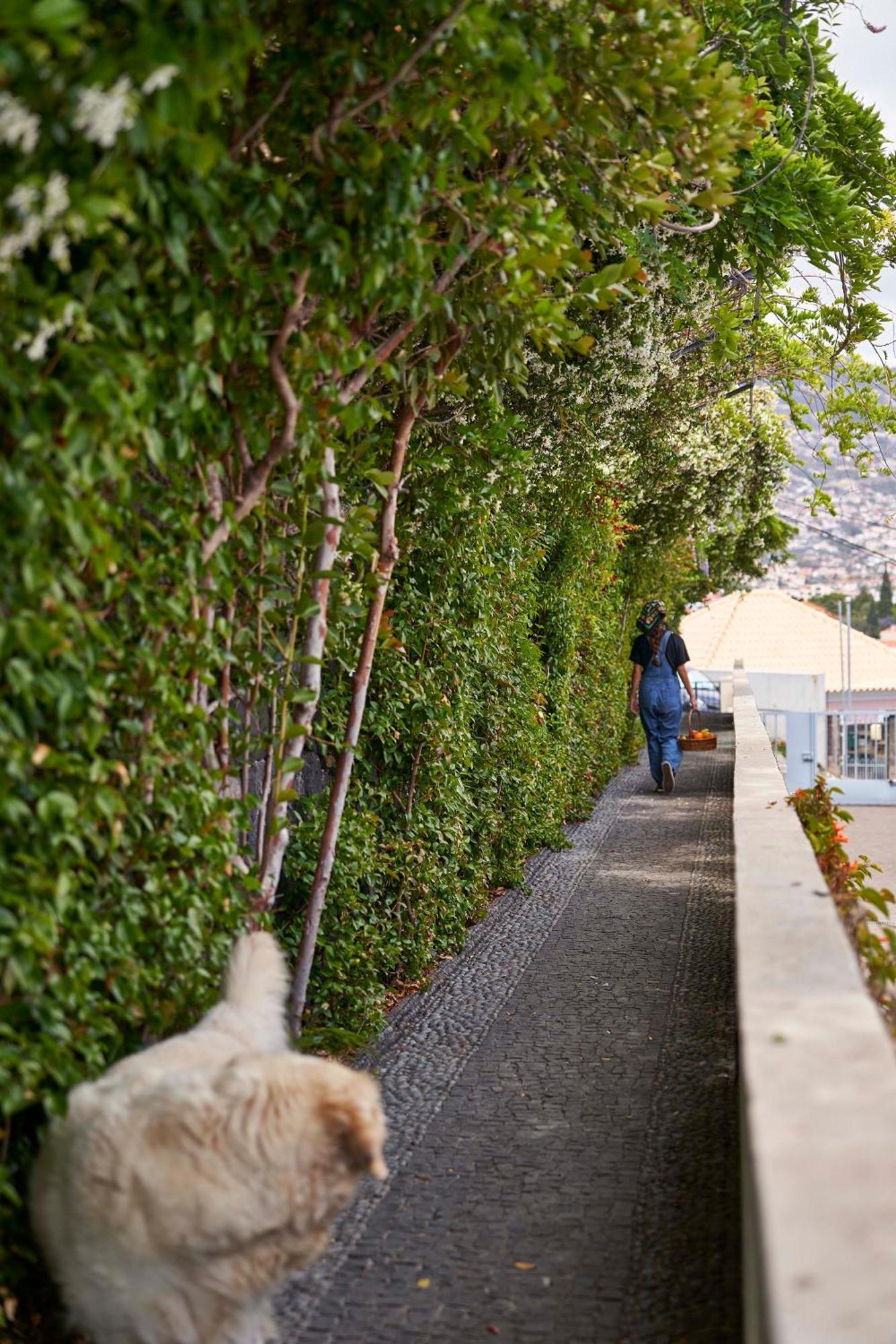 Bordal Houses Funchal  Exteriör bild